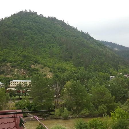 Karlsson Borjomi Apartment. Kültér fotó