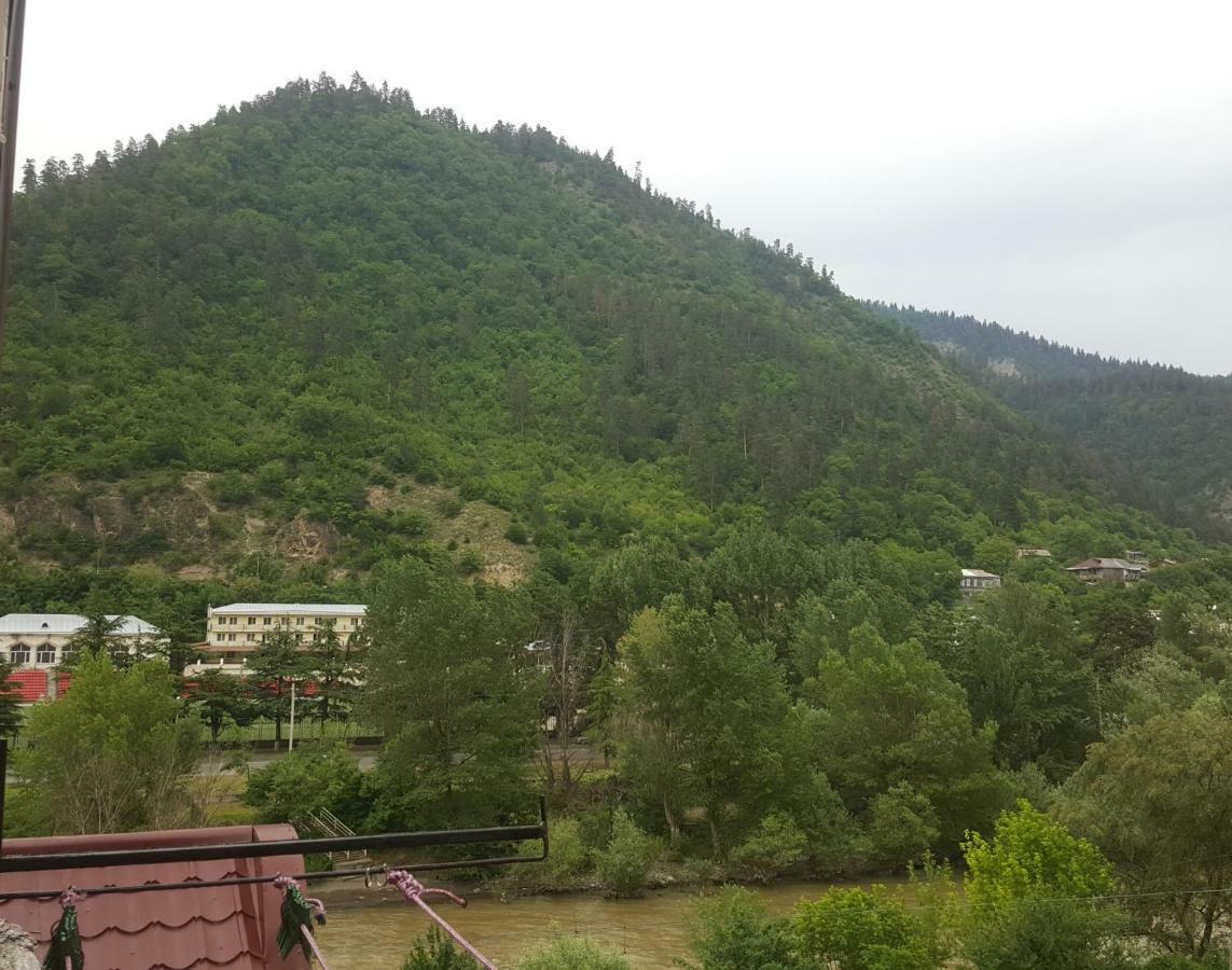Karlsson Borjomi Apartment. Kültér fotó